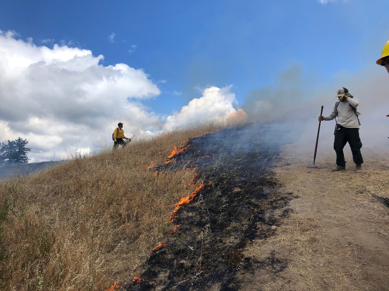 Two people stand on either side of a hillside fire line on a slightly cloudy day.