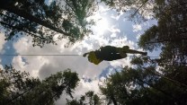 view of ziplining through treetops