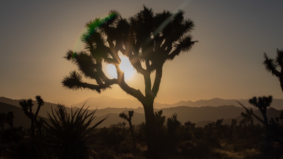 The sun rises behind a single tree, silhouetted by its rays. The rest of the landscape is in darkness.