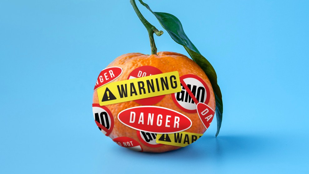 A tangerine sits on a blue background; it is covered in red and yellow stickers that read "Warning", "Danger" and "No GMO"