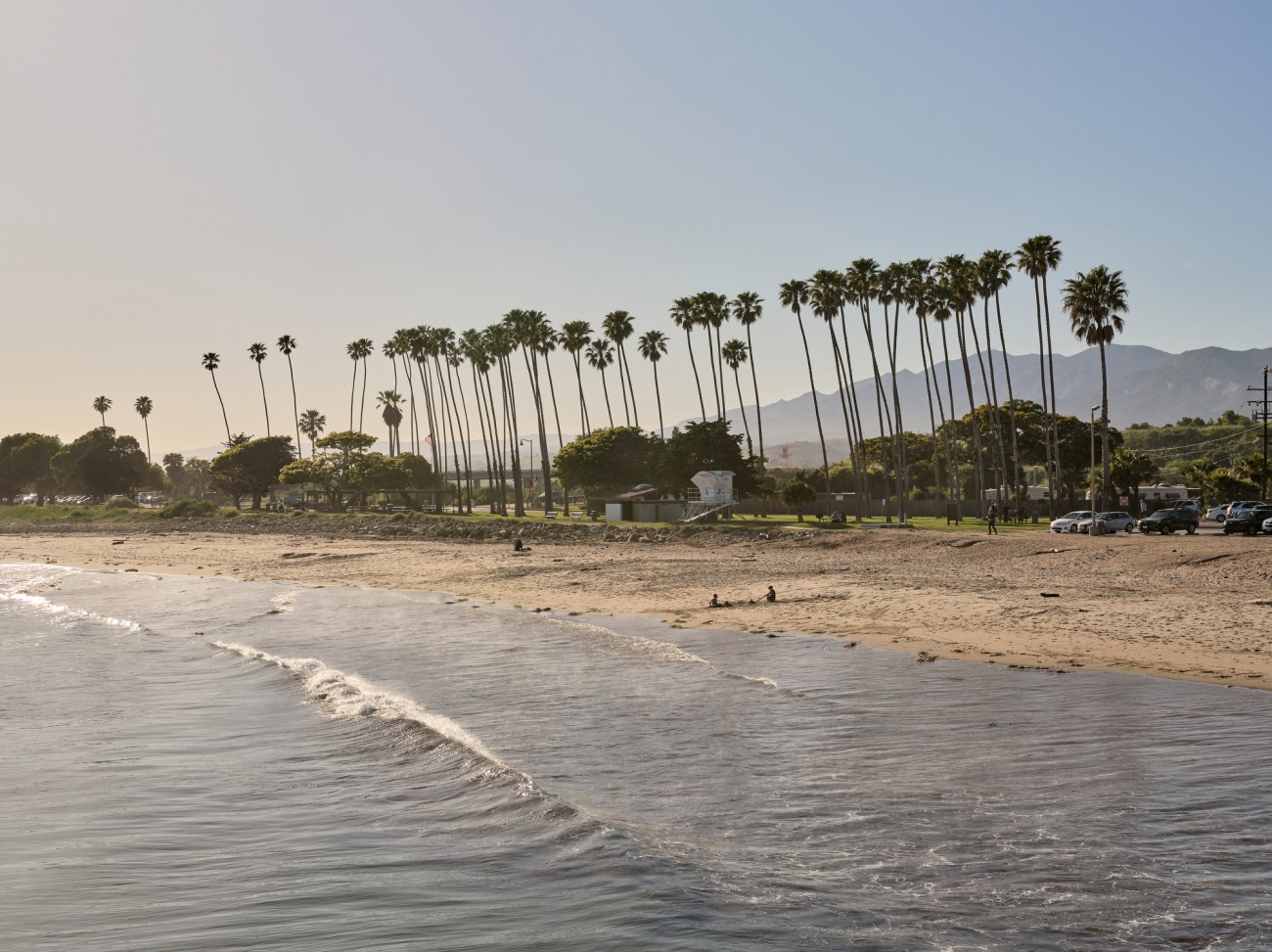 A line of palm trees stand at the edge of a beach with small waves rolling in.