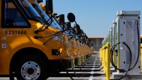 A line of yellow electric school buses plugged into their chargers.