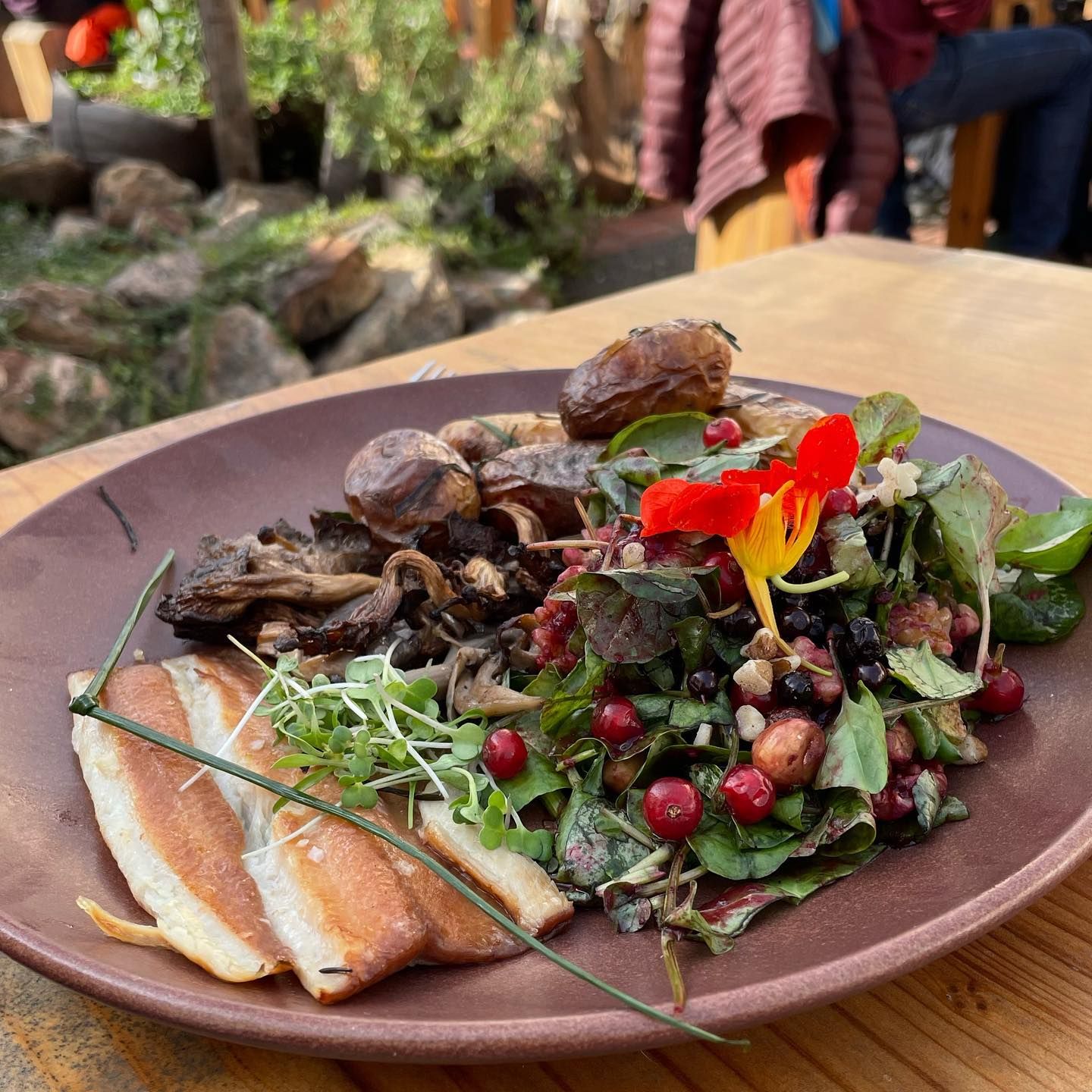 salad-fish-cafe-ohlone-on-plate