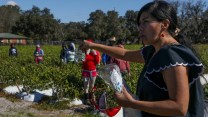 A woman offers female farmworkers masks in 2021.