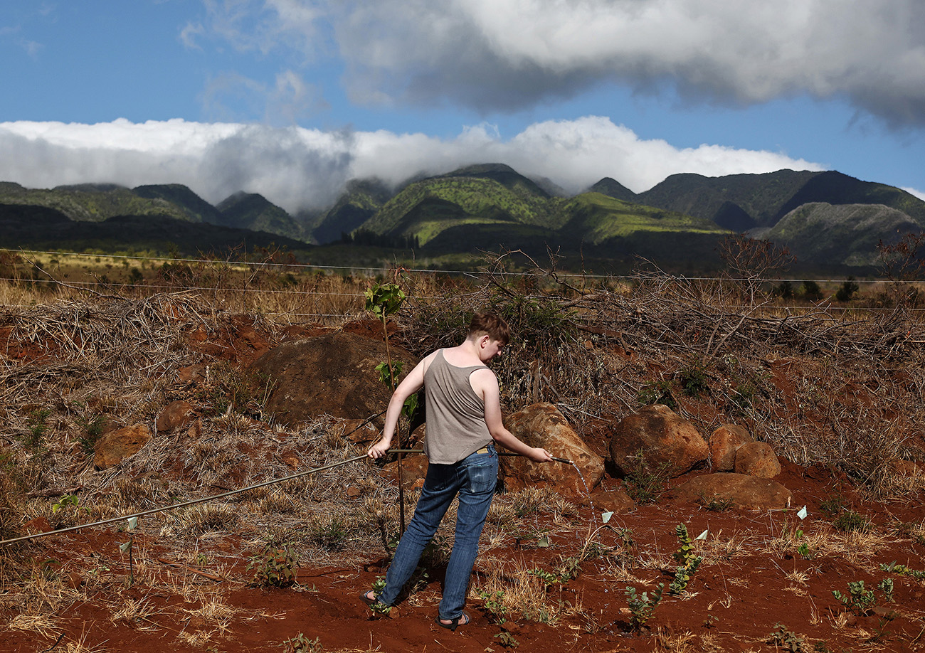 A person wearing a tank top holds a garden hose, watering burned land with mountains and clouds in the background.