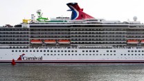 A large cruise ship sits in brown water.