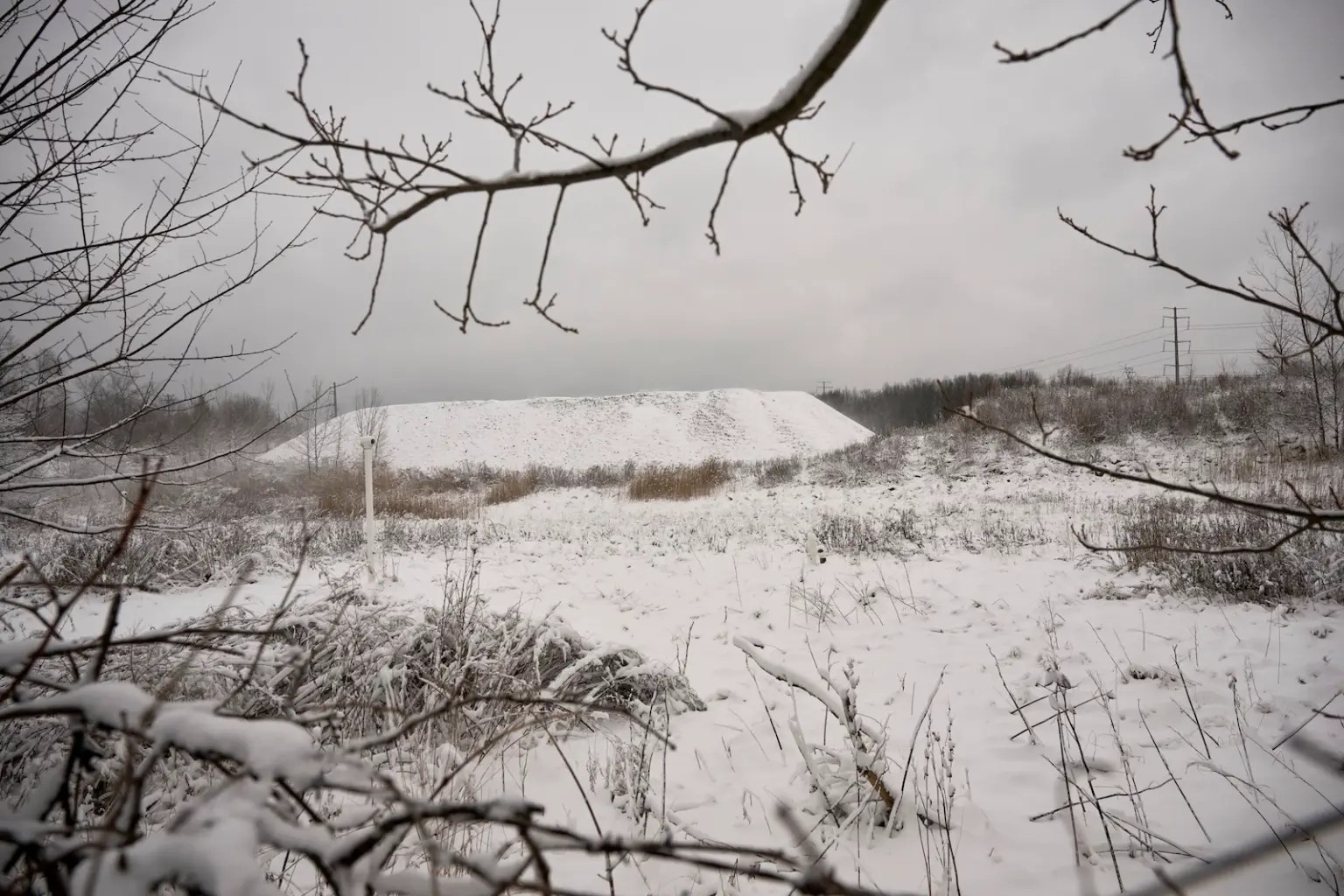 A snowy landscape