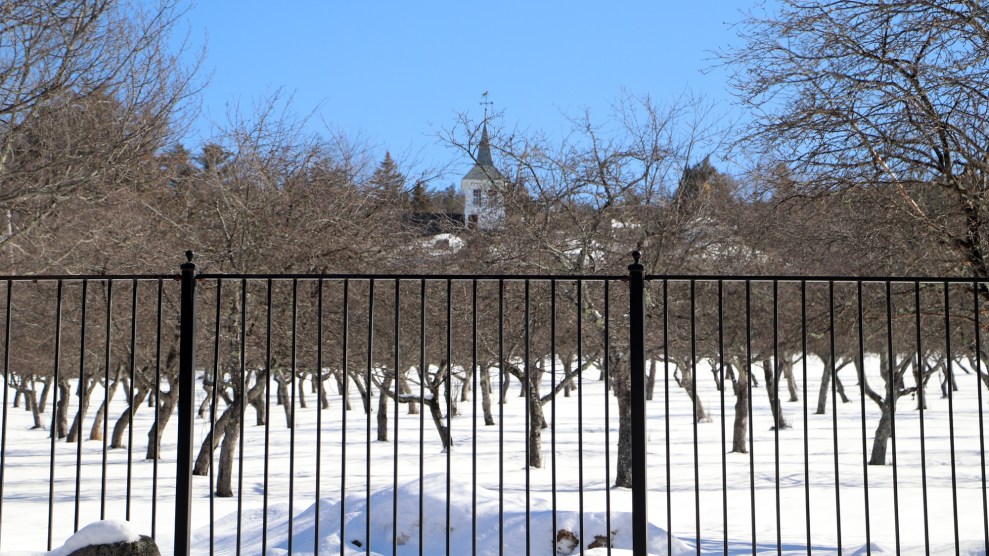 A wind vane and green steeple sit atop a white building seen through a forest of leave-less tree branches. There's snow covering the ground and a clear blue sky.
