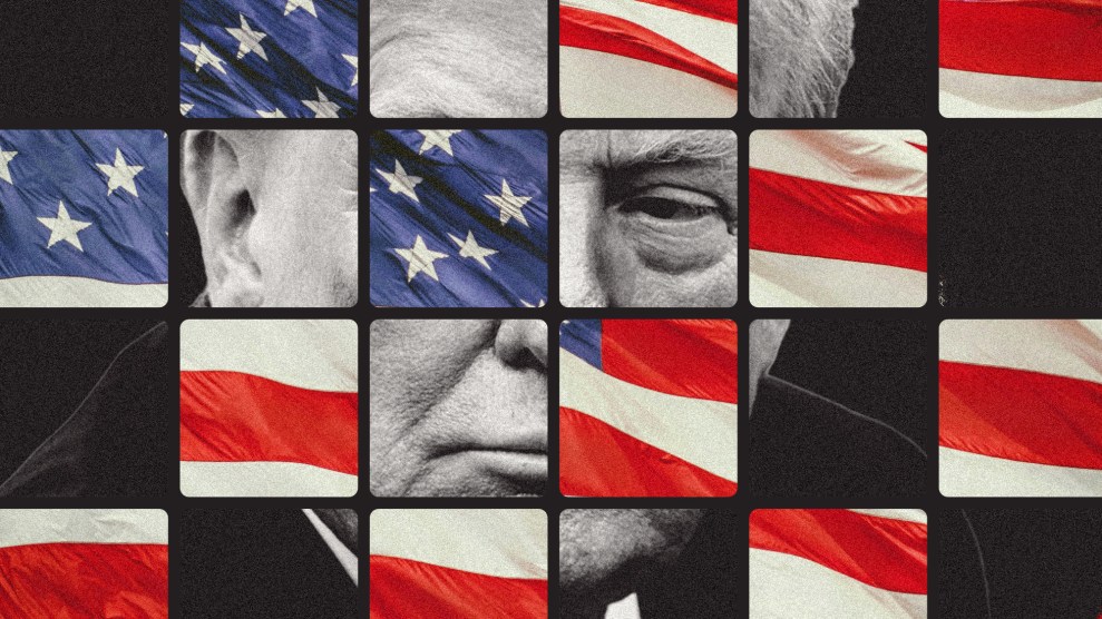Photo collage of a waving American flag, inset into 6x4 grid; every other square has been removed to reveal a glaring Donald Trump behind it.