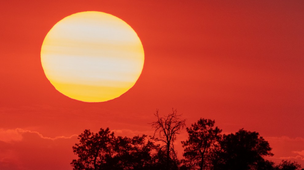 A sun sets in a bright red sky, with a few shadows of trees in the foreground