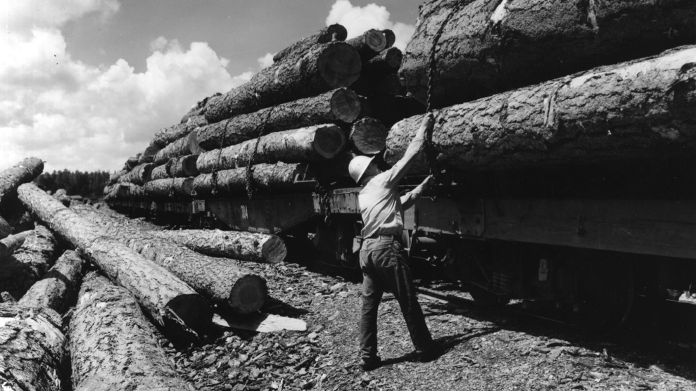 A black and white photograph of a person and large logs loaded onto a train.