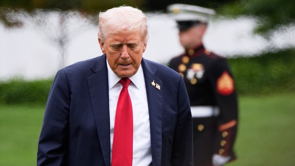 Trump walks on lawn with a blurred background