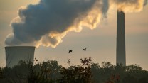 Birds fly next to smoke stacks
