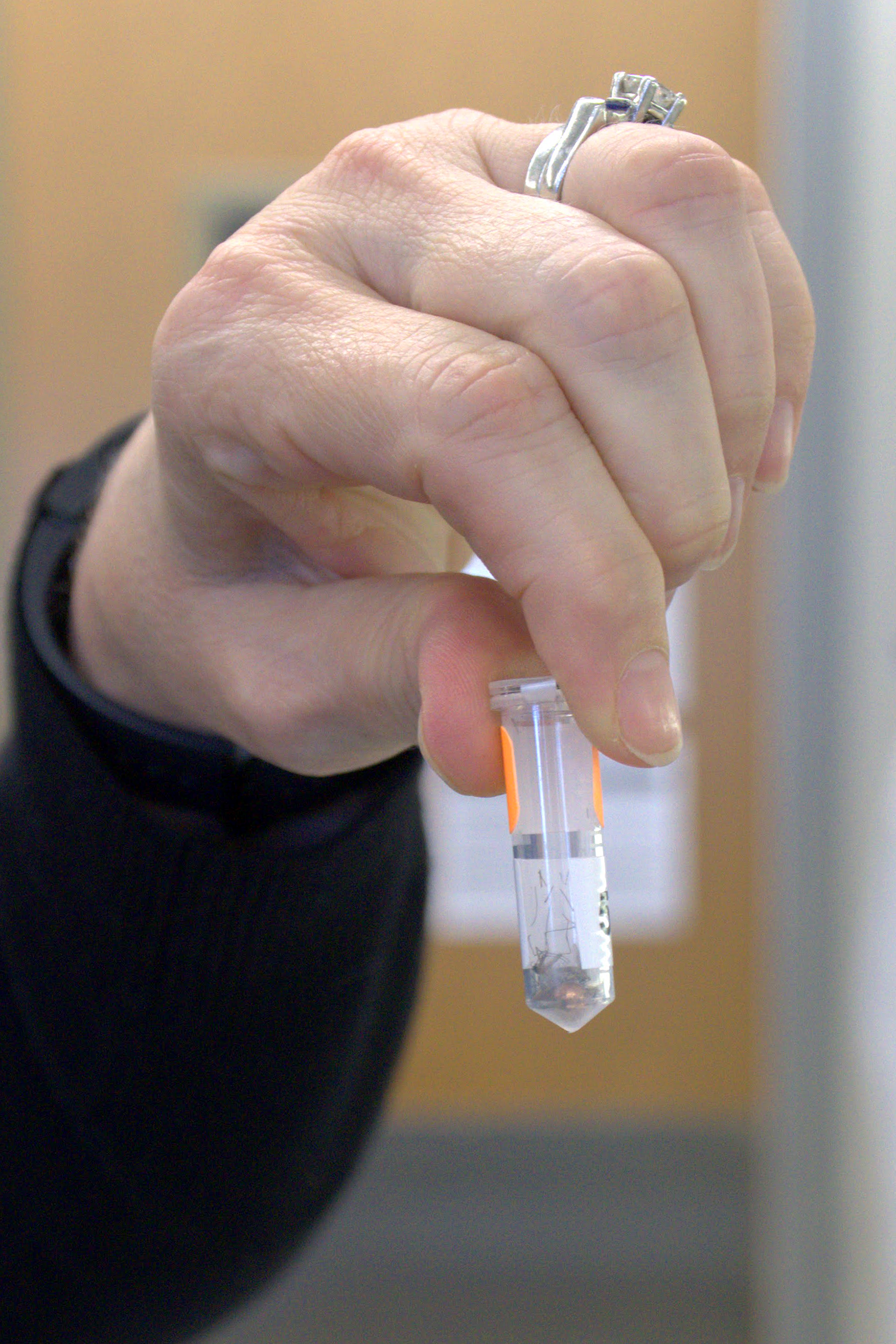 A hand holds a test tube.