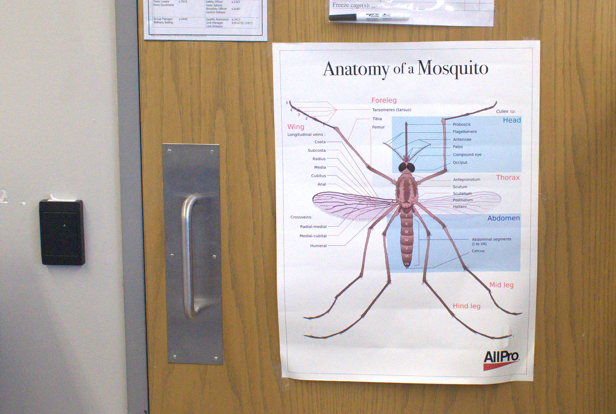 A poster on the back of a door.