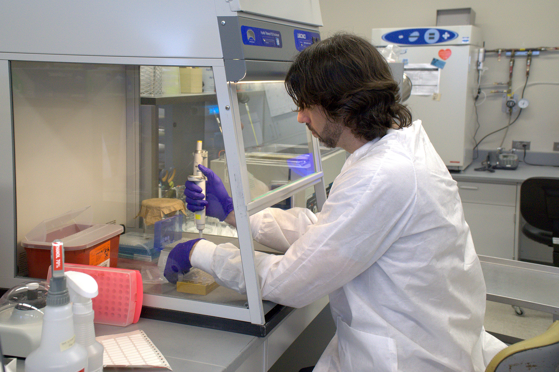A person wearing a lab coat pipets something in a lab hood.