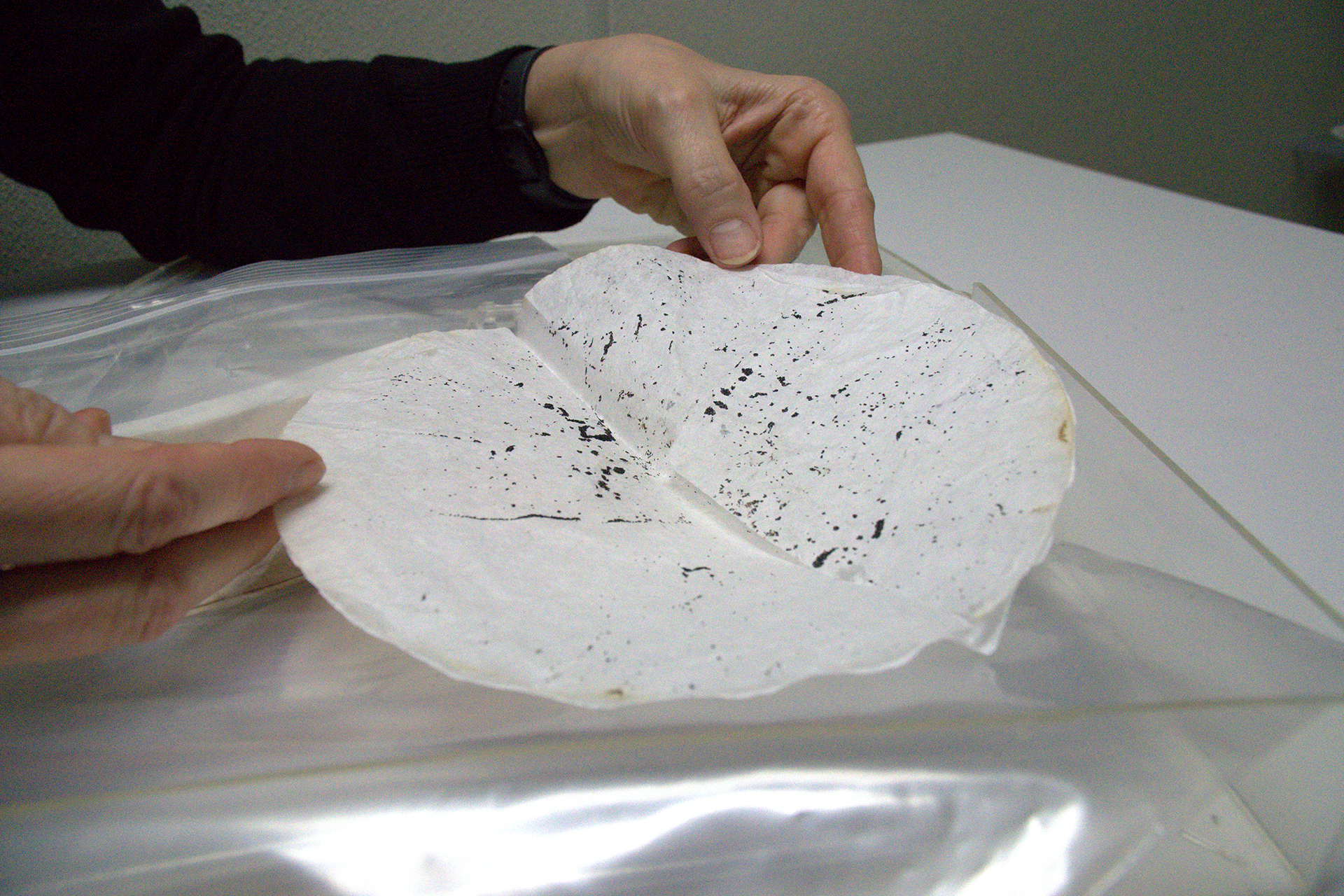 Two hands grip a coffee filter 