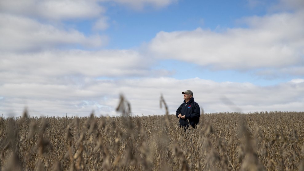 A farmer is seen among soybean crops in a field of his family farm in Atlantic, a small city in the Midwestern state of Iowa, the United States.
