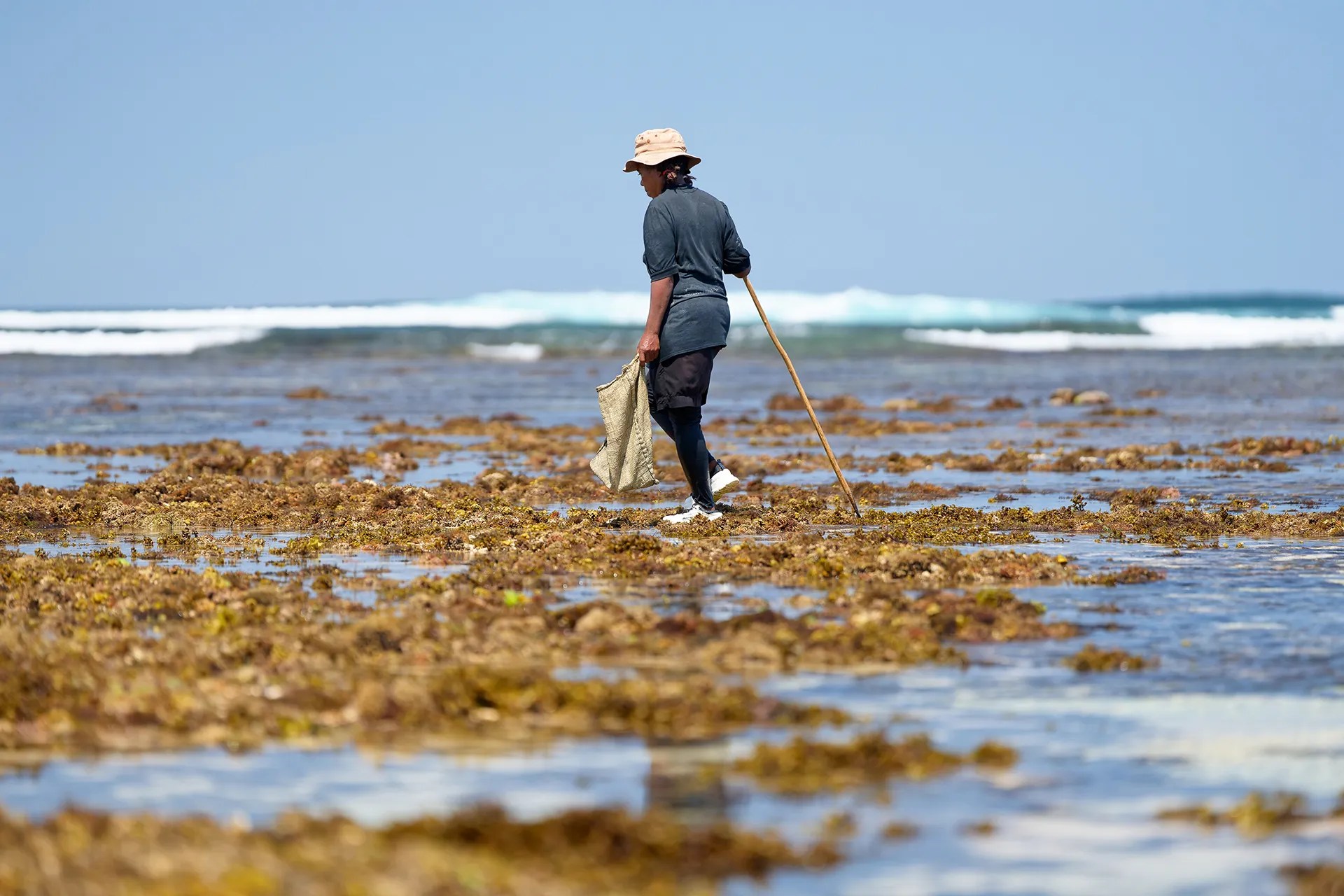 A woman walks along the shore