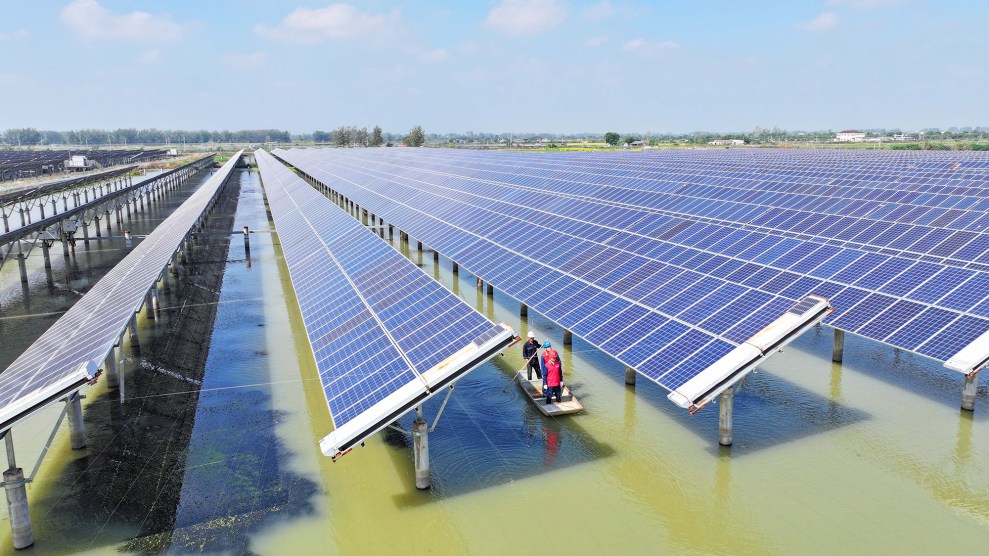 A large solar array on top of a green body of water.