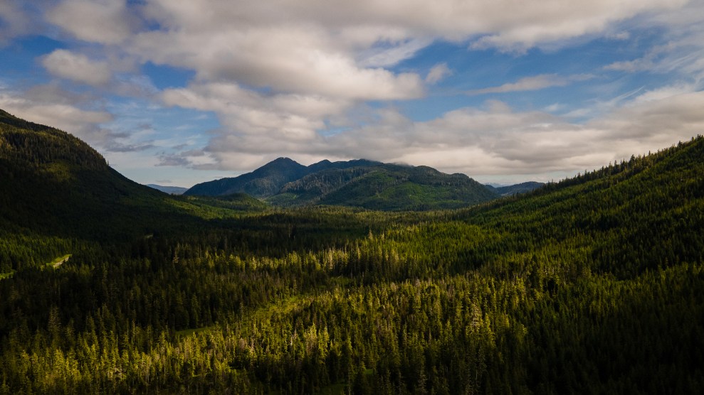 A view of forested mountains from above.