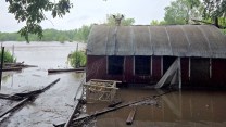 A flooded chicken coop with a chicken on the roof