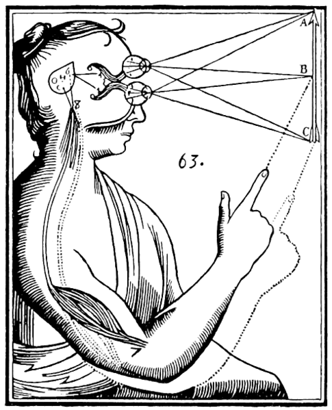 Illustration by Rene Descartes of the pineal gland, which he believed to be the location of the soul within the brain.