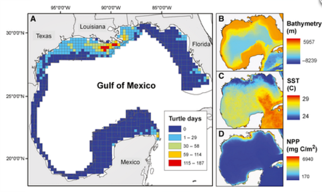 Foraging habitat by Kemp's ridley turtles in the Gulf of Mexico: