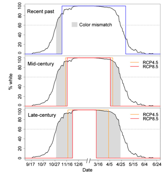 Projections of increasing seasonal color mismatch in the future. The black line for all panels shows average phenology of hare seasonal color molt across the 3 y of the field study. The blue line shows mean modeled snow duration for the recent past (1970–1999). The orange and red lines show the future (mid-century and late-century) mean modeled snow duration for different emissions scenarios. The gray highlighted regions represent coat color mismatch, where white hares (?60%) would be expected on a snowless background. As the duration with snow on the ground decreases in the future, mismatch will increase by as much as fourfold in the mid-century and eightfold in the late-century.