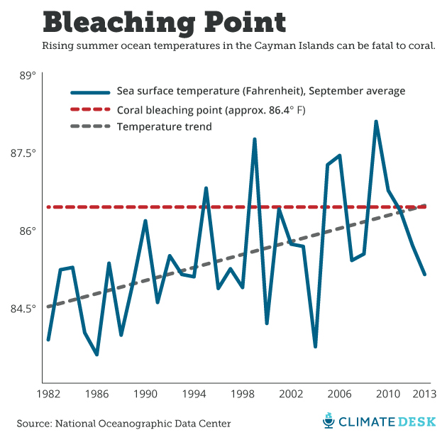 coral temp chart