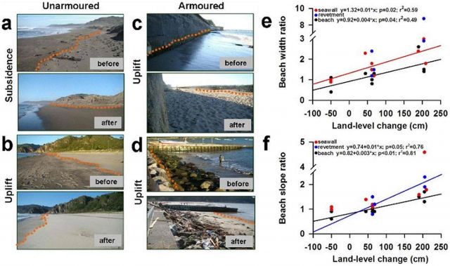 Photos of study sites taken before and after the 2010 Chile earthquake: Eduardo Jaramillo, et al. PLoS ONE. DOI:info:doi/10.1371/journal.pone.0035348.g002