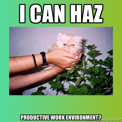 yes you can haz. /Flickr