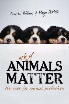 why_animals_matter_medium_rwcz.jpg