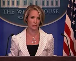 dana-perino-250x200.jpg