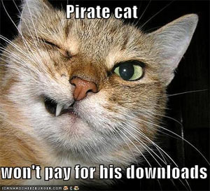 mojo-photo-piratecat.jpg