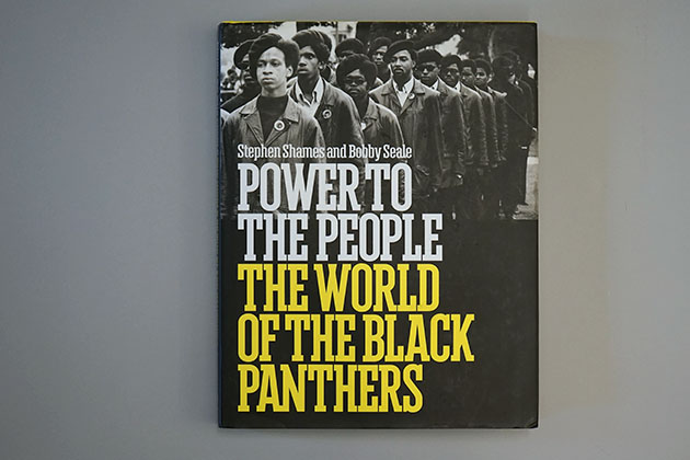 Power to the People by Stephen Shames